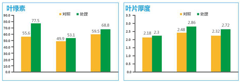 凯时娱乐生物“海藻+氮磷钾+腐植酸”让果树旺起来